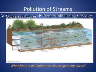 Pollution of Streams
 Oxygen sag curve  Factors influencing recovery
Fig. 22-5 p. 496
What factors will influence this oxygen sag curve?
 