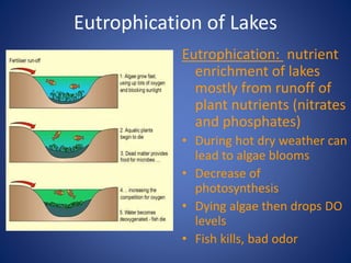 Eutrophication of Lakes
Eutrophication: nutrient
enrichment of lakes
mostly from runoff of
plant nutrients (nitrates
and phosphates)
• During hot dry weather can
lead to algae blooms
• Decrease of
photosynthesis
• Dying algae then drops DO
levels
• Fish kills, bad odor
 