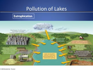 Pollution of Lakes
Eutrophication
Fig. 22-7 p. 499
 