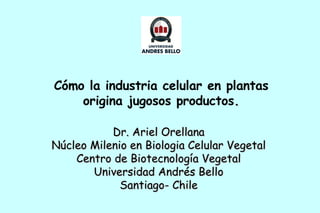 Cómo la industria celular en plantas origina jugosos productos . Dr. Ariel Orellana Núcleo Milenio en Biologia Celular Vegetal Centro de Biotecnología Vegetal Universidad Andrés Bello Santiago- Chile 
