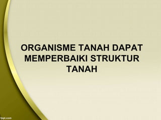 ORGANISME TANAH DAPAT
MEMPERBAIKI STRUKTUR
TANAH
 