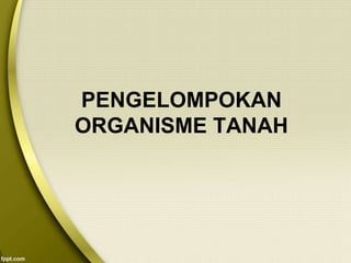 PENGELOMPOKAN
ORGANISME TANAH
 