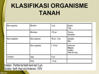 KLASIFIKASI ORGANISME
TANAH
 