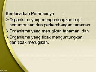 Berdasarkan Peranannya :
Organisme yang menguntungkan bagi
pertumbuhan dan perkembangan tanaman
Organisme yang merugikan tanaman, dan
Organisme yang tidak menguntungkan
dan tidak merugikan.
 