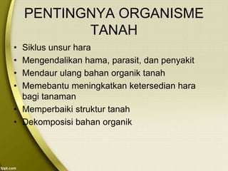 PENTINGNYA ORGANISME
TANAH
• Siklus unsur hara
• Mengendalikan hama, parasit, dan penyakit
• Mendaur ulang bahan organik tanah
• Memebantu meningkatkan ketersedian hara
bagi tanaman
• Memperbaiki struktur tanah
• Dekomposisi bahan organik
 