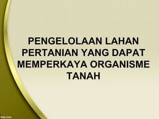 PENGELOLAAN LAHAN
PERTANIAN YANG DAPAT
MEMPERKAYA ORGANISME
TANAH
 