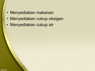 • Menyediakan makanan
• Menyediakan cukup oksigen
• Menyediakan cukup air
 
