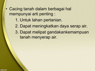 • Cacing tanah dalam berbagai hal
mempunyai arti penting :
1. Untuk lahan pertanian.
2. Dapat meningkatkan daya serap air.
3. Dapat melipat gandakankemampuan
tanah menyerap air.
 