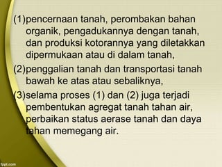 (1)pencernaan tanah, perombakan bahan
organik, pengadukannya dengan tanah,
dan produksi kotorannya yang diletakkan
dipermukaan atau di dalam tanah,
(2)penggalian tanah dan transportasi tanah
bawah ke atas atau sebaliknya,
(3)selama proses (1) dan (2) juga terjadi
pembentukan agregat tanah tahan air,
perbaikan status aerase tanah dan daya
tahan memegang air.
 