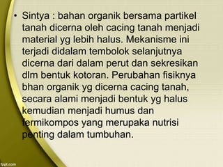 • Sintya : bahan organik bersama partikel
tanah dicerna oleh cacing tanah menjadi
material yg lebih halus. Mekanisme ini
terjadi didalam tembolok selanjutnya
dicerna dari dalam perut dan sekresikan
dlm bentuk kotoran. Perubahan fisiknya
bhan organik yg dicerna cacing tanah,
secara alami menjadi bentuk yg halus
kemudian menjadi humus dan
fermikompos yang merupaka nutrisi
penting dalam tumbuhan.
 