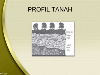 PROFIL TANAH
 