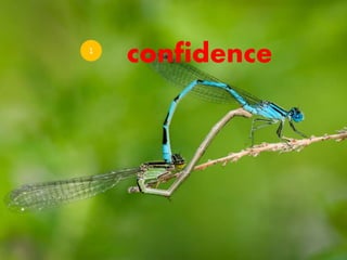 confidence1
 