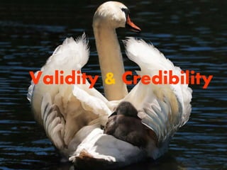 Validity & Credibility
 