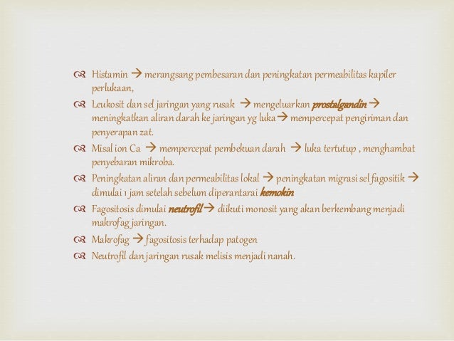 Kekebalan Tubuh Fagositosis