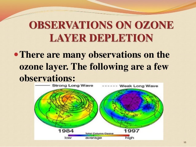Essay On Ozone Layer Depletion and Protection