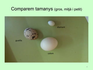 Comparem tamanys (gros, mitjà i petit)
guatlla
diamant
colom
8
 