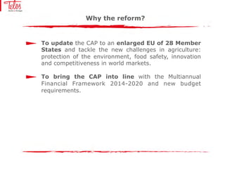 The new Common Agricultural Policy (CAP): Sustainability and Innovation ...