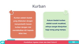 Kurban
Kurban adalah ibadah
yang dilakukan dengan
menyembelih hewan
kurban dengan niat
mendekatkan diri kepada
Allah Swt.
Hukum ibadah kurban
adalah sunah muakkad,
artinya sangat dianjurkan
bagi orang yang mampu.
 