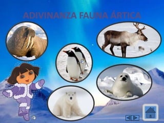 ADIVINANZA FAUNA ÁRTICA
 