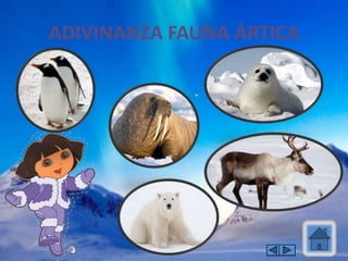 ADIVINANZA FAUNA ÁRTICA
 