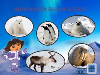 ADIVINANZA FAUNA ÁRTICA
 