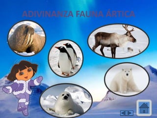 ADIVINANZA FAUNA ÁRTICA
 