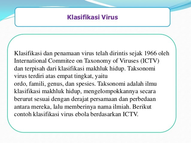  Klasifikasi Virus 