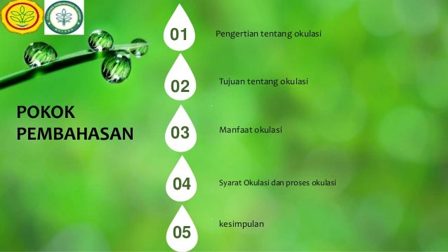 Memperbanyak Tanaman Dengan Cara Okulasi
