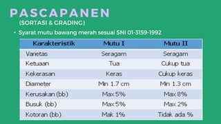 PPT Panen dan Pascapanen Bawang Merah_1.pptx