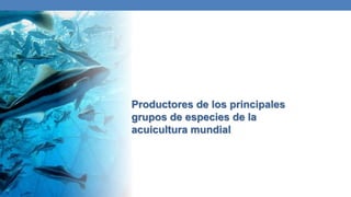 Productores de los principales
grupos de especies de la
acuicultura mundial
 