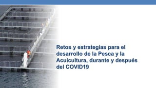 Retos y estrategias para el
desarrollo de la Pesca y la
Acuicultura, durante y después
del COVID19
 
