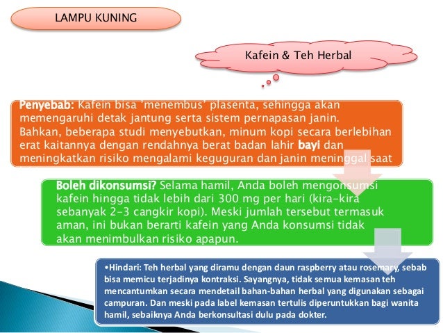 Ppt pantangan kehamilan