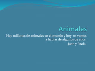Hay millones de animales en el mundo y hoy os vamos
a hablar de algunos de ellos.
Juan y Paola.
 