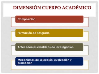DIMENSIÓN CUERPO ACADÉMICO
Composición

Formación de Posgrado

Antecedentes científicos de investigación

Mecanismos de selección, evaluación y
promoción

 