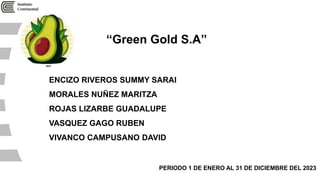 ENCIZO RIVEROS SUMMY SARAI
MORALES NUÑEZ MARITZA
ROJAS LIZARBE GUADALUPE
VASQUEZ GAGO RUBEN
VIVANCO CAMPUSANO DAVID
“Green Gold S.A”
PERIODO 1 DE ENERO AL 31 DE DICIEMBRE DEL 2023
 