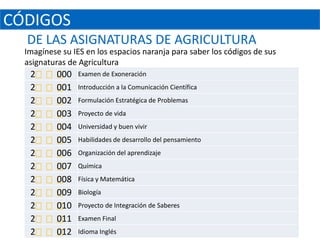 CÓDIGOS
  DE LAS ASIGNATURAS DE AGRICULTURA
  Imagínese su IES en los espacios naranja para saber los códigos de sus
  asignaturas de Agricultura
   2
      000       Examen de Exoneración
   2
      001       Introducción a la Comunicación Científica
   2
      002       Formulación Estratégica de Problemas
   2
      003       Proyecto de vida
   2
      004       Universidad y buen vivir
   2
      005       Habilidades de desarrollo del pensamiento
   2
      006       Organización del aprendizaje
   2
      007       Química
   2
      008       Física y Matemática
   2
      009       Biología
   2
      010       Proyecto de Integración de Saberes
   2
      011       Examen Final
   2
      012       Idioma Inglés
 