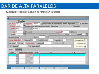 DAR DE ALTA PARALELOS
  Matrícula > Básicos > Gestión de Paralelos > Paralelos
 