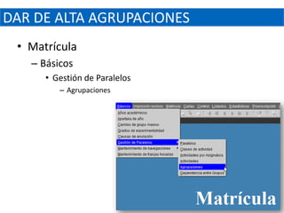 DAR DE ALTA AGRUPACIONES
 • Matrícula
   – Básicos
      • Gestión de Paralelos
         – Agrupaciones
 
