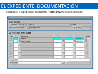 EL EXPEDIENTE: DOCUMENTACIÓN
 Expedientes > Expedientes > Expedientes > botón Documentación a Entregar
 