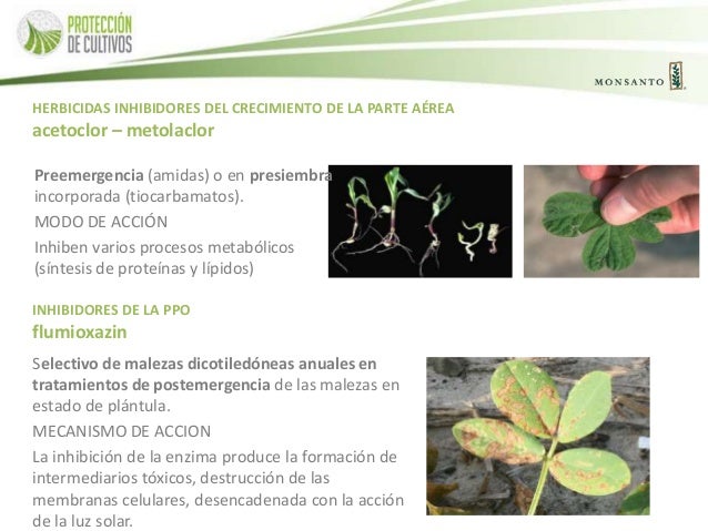 Inhibidores metabolicos - inhibidores celulares