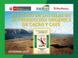 EL GUANO DE LAS ISLAS EN
LA PRODUCCIÓN ORGÁNICA
DE CACAO Y CAFÉ
SETIEMBRE 2019
 