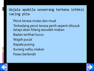 Gejala apabila seseorang terkena infeksi
cacing pita
 Perut terasa mulas dan mual
 Terkadang perut terasa perih seperti ditusuk
tetapi akan hilang sesudah makan
 Badan terlihat kurus
 Wajah pucat
 Kepala pusing
 Kurang nafsu makan
 Feses berlendir
 