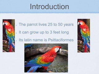 Introduction
The parrot lives 25 to 50 years
It can grow up to 3 feet long
Its latin name is Psittaciformes
 
