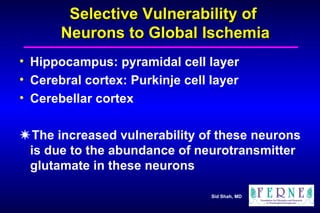 Selective Vulnerability of  Neurons to Global Ischemia Hippocampus: pyramidal cell layer Cerebral cortex: Purkinje cell layer Cerebellar cortex  The increased vulnerability of these neurons is due to the abundance of neurotransmitter glutamate in these neurons 