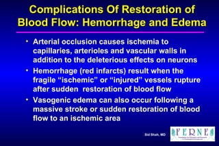 Complications Of Restoration of Blood Flow: Hemorrhage and Edema Arterial occlusion causes ischemia to capillaries, arterioles and vascular walls in addition to the deleterious effects on neurons Hemorrhage (red infarcts) result when the fragile “ischemic” or “injured” vessels rupture after sudden  restoration of blood flow Vasogenic edema can also occur following a massive stroke or sudden restoration of blood flow to an ischemic area 
