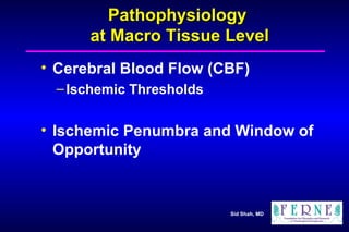 Pathophysiology  at Macro Tissue Level Cerebral Blood Flow (CBF) Ischemic Thresholds Ischemic Penumbra and Window of Opportunity 