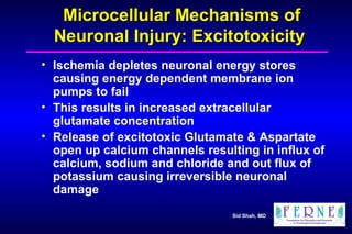 Microcellular Mechanisms of Neuronal Injury: Excitotoxicity  Ischemia depletes neuronal energy stores causing energy dependent membrane ion pumps to fail This results in increased extracellular glutamate concentration Release of excitotoxic Glutamate & Aspartate  open up calcium channels resulting in influx of calcium, sodium and chloride and out flux of potassium causing irreversible neuronal damage 