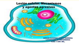 Lesión celular. Mecanismos
y agentes agresivos
ADRIAN EUGENIO ACUÑA HERRERA
LICENCIADO EN ENFERMERIA
TCO2 ® ENF. MIL.
 