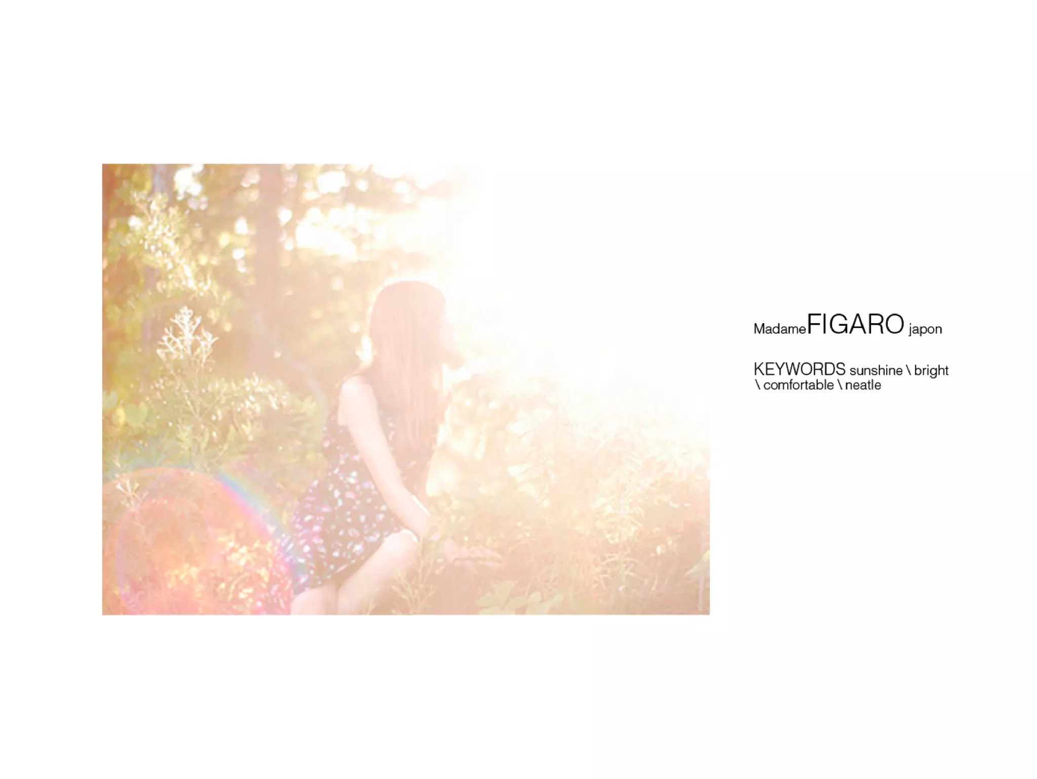 Go into the light Concept