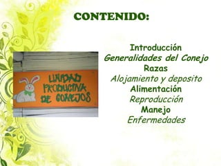 CONTENIDO:

         Introducción
   Generalidades del Conejo
            Razas
    Alojamiento y deposito
         Alimentación
        Reproducción
           Manejo
        Enfermedades
 